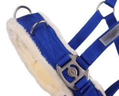 QHP Cavesson -Equestrian Supplies Online Shop 00004656W 2 305070051