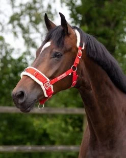 QHP Cavesson -Equestrian Supplies Online Shop 00004656W 3 305030011