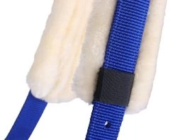 QHP Cavesson -Equestrian Supplies Online Shop 00004656W 3 305070051