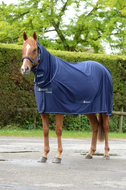 Bucas Power Cooler & Neck 1 Bucas Power Cooler & Neck