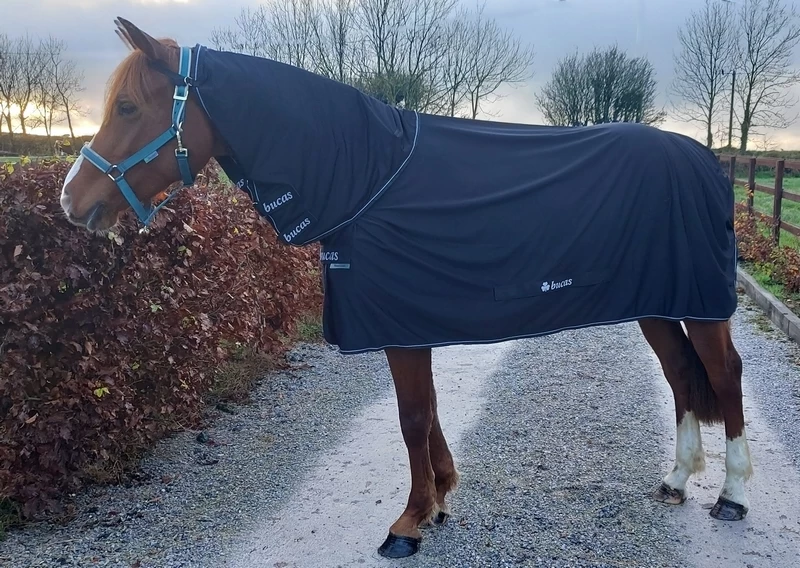 Bucas Power Cooler & Neck 3 Bucas Power Cooler & Neck - Image 3