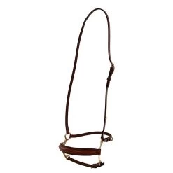 BR Combination Lever Noseband