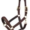 LeMieux Anatomic Headcollar