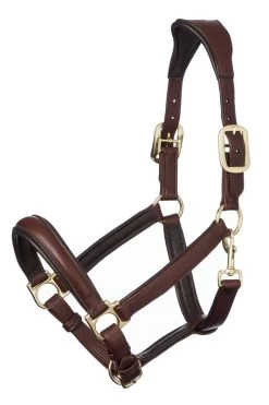 LeMieux Anatomic Headcollar