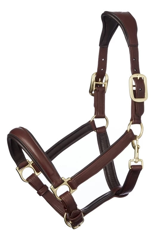 LeMieux Anatomic Headcollar 1 LeMieux Anatomic Headcollar