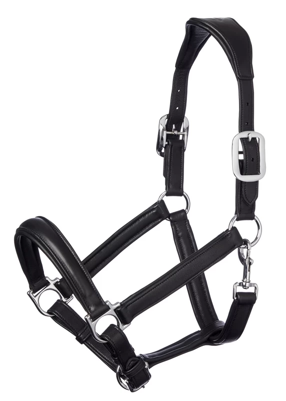 LeMieux Anatomic Headcollar 3 LeMieux Anatomic Headcollar - Image 3
