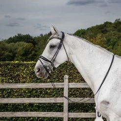 Dyon Dressage Round Leather Bridle Large Patent Noseband -Equestrian Supplies Online Shop 00004828W 1 302091075