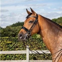 Dyon Double Bridle Round Leather Large Patent Noseband -Equestrian Supplies Online Shop 00004830W 1 302090639