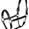Harry's Horse Head Collar Leather, Padded