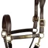 Harry's Horse Head Collar Leather Anatomic