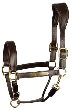 Harry's Horse Head Collar Leather Anatomic