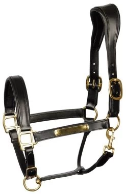 Harry's Horse Head Collar Leather Anatomic -Equestrian Supplies Online Shop 00004847W 1 301090361