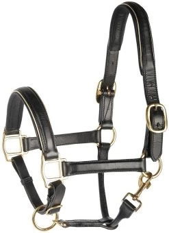 Harry's Horse Headcollar Leather, Black With Piping