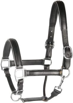 Harry's Horse Headcollar Leather, Black With Piping -Equestrian Supplies Online Shop 00004848W 1 301090363
