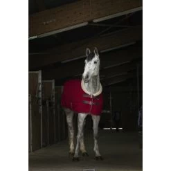 Equitheme Teddy Polar Fleecerug -Equestrian Supplies Online Shop 00004858W 1 406034018
