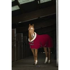 Equitheme Teddy Polar Fleecerug -Equestrian Supplies Online Shop 00004858W 2 406034018