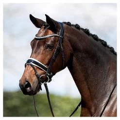 Equestrian Supplies Online Shop -Equestrian Supplies Online Shop 00004859W 2 302091078