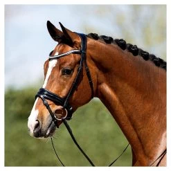 Anky Bridle Anatomical Patent -Equestrian Supplies Online Shop 00004859W 3 302090643