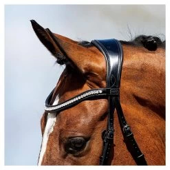 Anky Bridle Anatomical Patent -Equestrian Supplies Online Shop 00004859W 4 302090643