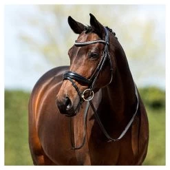 Anky Bridle Anatomical Combined -Equestrian Supplies Online Shop 00004860W 3 302090642