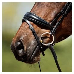 Anky Bridle Anatomical Combined -Equestrian Supplies Online Shop 00004860W 4 302090642