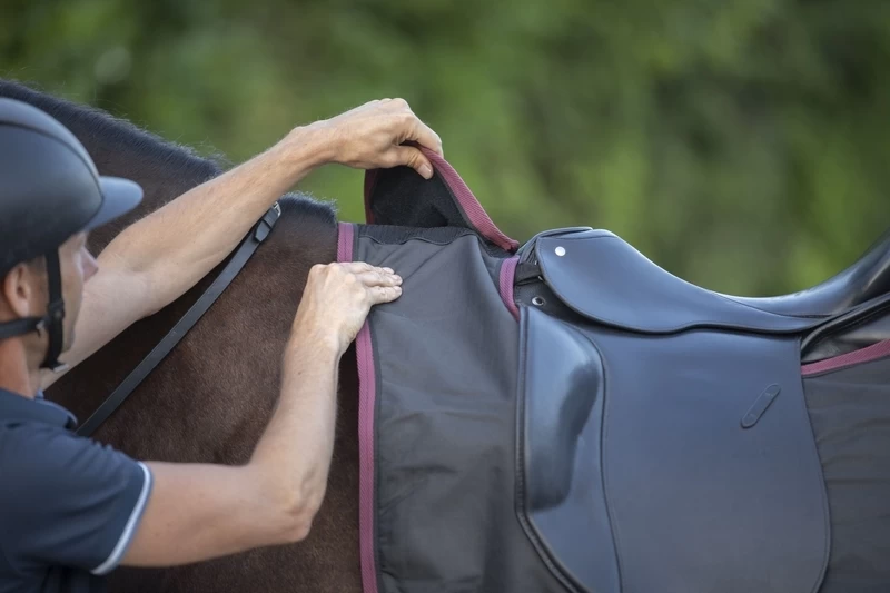 DKR Sports Exercise Rug Waterproof Fleece-lined 5 DKR Sports Exercise Rug Waterproof Fleece-lined - Image 5