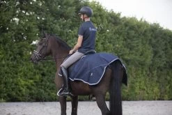 DKR Sports Exercise Rug Waterproof Fleece-lined 9 DKR Sports Exercise Rug Waterproof Fleece-lined -Equestrian Supplies Online Shop 00004987W 3 404079034