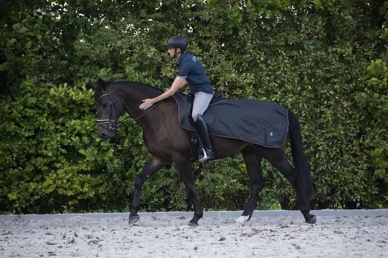 DKR Sports Exercise Rug Waterproof Fleece-lined 6 DKR Sports Exercise Rug Waterproof Fleece-lined - Image 6