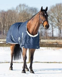 QHP Borstbeschermer Ontario -Equestrian Supplies Online Shop 00005007W 3 408079026