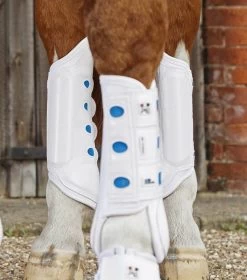 Premier Equine Air-cooled Eventing Boot Hind -Equestrian Supplies Online Shop 00005030W 2 312010126