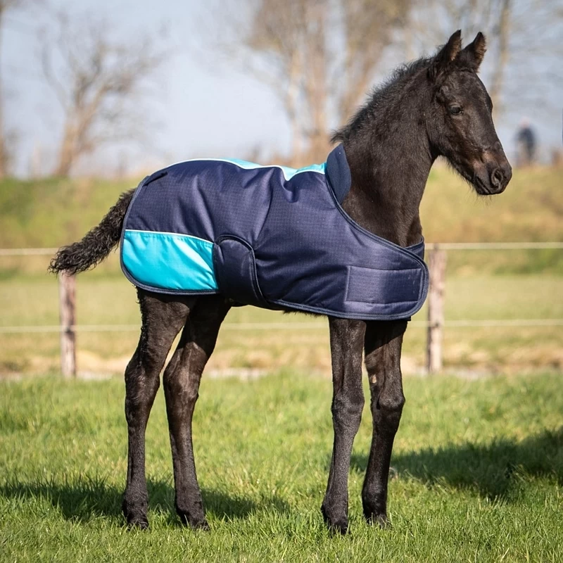 Harry's Horse Foal Rug Two Tone 1 Harry's Horse Foal Rug Two Tone