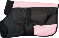 Harry's Horse Foal Rug Two Tone 11 Harry's Horse Foal Rug Two Tone -Equestrian Supplies Online Shop 00005080W 2 401090117