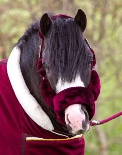 HB Fluffy Halter Littles Sizes -Equestrian Supplies Online Shop 00005161W 1 301034047