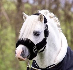 HB Fluffy Halter Littles Sizes