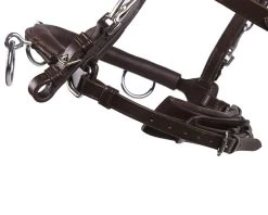 QHP Cavesson Leather -Equestrian Supplies Online Shop 00005186W 3 305050011