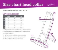 QHP Cavesson Leather -Equestrian Supplies Online Shop 00005186W 4 305050011