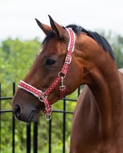 QHP Head Collar Christmas -Equestrian Supplies Online Shop 00005221W 2 301030111