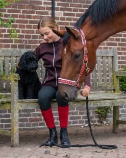 QHP Head Collar Christmas -Equestrian Supplies Online Shop 00005221W 3 301030111