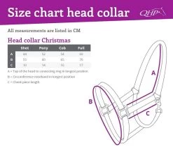 QHP Head Collar Christmas -Equestrian Supplies Online Shop 00005221W 4 301030111