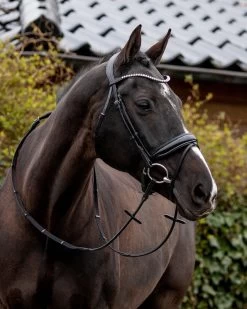 QHP Bridle Nehza -Equestrian Supplies Online Shop 00005228W 3 302090648