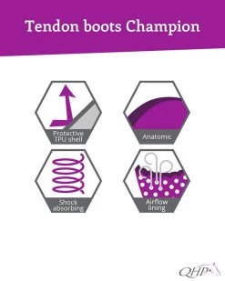 QHP Tendon Boots Champion -Equestrian Supplies Online Shop 00005279W 3 312060013