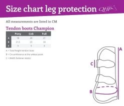 QHP Tendon Boots Champion -Equestrian Supplies Online Shop 00005279W 4 312070063