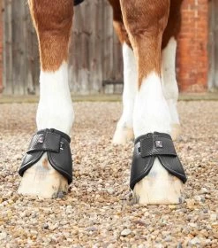 PREMIER EQUINE Premiere Equine Carbon Tech Kevlar No-Turn Over Reach Boots -Equestrian Supplies Online Shop 00005410W 4 314090121