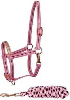 Harry's Horse Headcollarset Foal -Equestrian Supplies Online Shop 00005526W 1 301035122