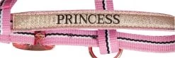 Harry's Horse Headcollarset Foal -Equestrian Supplies Online Shop 00005526W 2 301035122