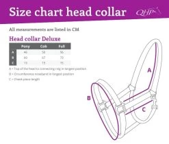 QHP Head Collar Deluxe -Equestrian Supplies Online Shop 00005581W 2 301034053