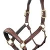 LeMieux Leather Halter Stitch