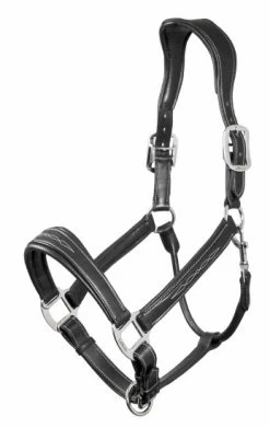 LeMieux Leather Halter Stitch -Equestrian Supplies Online Shop 00005630W 1 301090382