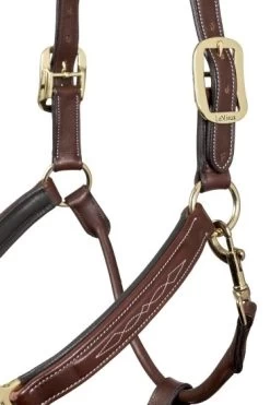 LeMieux Leather Halter Stitch -Equestrian Supplies Online Shop 00005630W 2 301050149