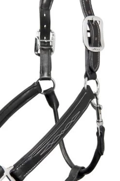 LeMieux Leather Halter Stitch -Equestrian Supplies Online Shop 00005630W 2 301090382